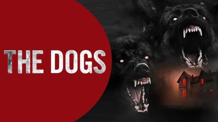 مشاهدة فيلم The Dogs 2025 مترجم ايجي بست